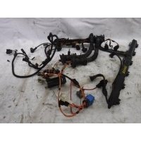 Проводка (коса) BMW X5 E70 2006-2013 12517559824