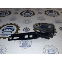 петля капота Audi Q7 4L 2012 4L0823301