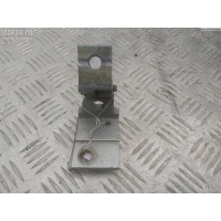 Петля двери Перед. Левая Audi A4 B5 (1994-2001) 1999 8D0831401B