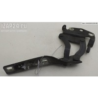 Петля (кронштейн) капота Левая Volkswagen Passat B7 2014 3AA823301