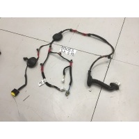 Электропроводка двери задняя левая Hyundai Santa Fe II 2004-2012 916552B020
