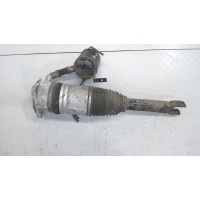 Амортизатор подвески зад. левая Audi A8 (D3) 2002-2005 2004 4E0616001F