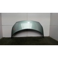 Капот Renault Scenic 2003-2009 2005 651001097R