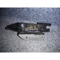 Петля капота левая BMW 5-серия E60/E61 (2003 - 2009) 41617120275