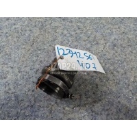 Патрубок Citroen-Peugeot 407 (2004 - 2010) 0382EL