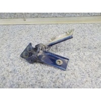 Петля двери багажника Citroen-Peugeot 407 (2004 - 2010) 861397