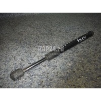 Амортизатор крышки багажника VAG A6 [C6,4F] (2004 - 2011) 4F5827552B