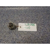 Петля двери багажника Mitsubishi Outlander (CU) (2001 - 2008) MR304435