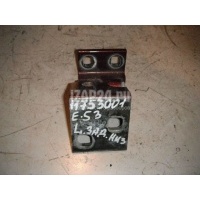 Петля двери задней левой нижняя BMW X5 E53 (2000 - 2007) 41528269845