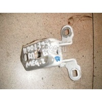 Петля двери Renault Megane II (2003 - 2009) 8200029139