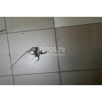 Форсунка масляная Toyota IS 250/350 (2005 - 2013) 157080R010