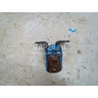 Петля двери Nissan Micra (K12E) (2002 - 2010) 824202F030
