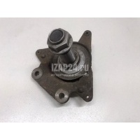 Цапфа (п.з.к.) Renault Scenic III (2009 - 2015) 430181919R