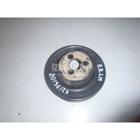 Шкив водяного насоса (помпы) Land Rover Discovery III (2004 - 2009) 4359078