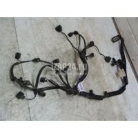 Проводка (коса) VAG Cordoba (2002 - 2008) 036971612BG