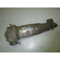 Амортизатор задний левый VAG Q7 [4L] (2005 - 2015) 7L8616001