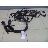 Проводка (коса) Citroen-Peugeot C-Crosser (2008 - 2013) 6569LZ