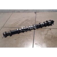 Распредвал выпускной Toyota Avensis II (2003 - 2008) 1350228010