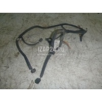 Проводка (коса) GM Vectra C (2002 - 2008) 24455860