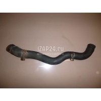 Патрубок радиатора Honda Jazz (2002 - 2008) 19501PWAJ00