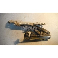 Петля крышки багажника Mitsubishi Lancer (CX,CY) (2007 - ) 5923A013