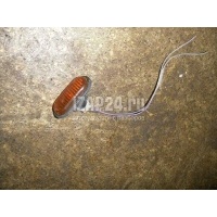 Повторитель на крыло желтый Renault Vivaro (2001 - 2014) 7700847333