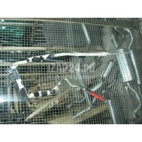 Подушка безопасности боковая (шторка) Nissan FX (S50) (2003 - 2007) K85PMCG000