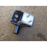 Петля двери задней левой нижняя Renault Modus (2004 - 2012) 8200864601
