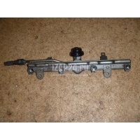 Рейка топливная (рампа) Honda RDX (2006 - 2012) 16620RWCA01
