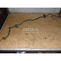 Стабилизатор задний Hyundai-Kia Carens (2006 - 2012) 555101D000