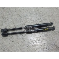 Амортизатор капота Renault Scenic III (2009 - 2015) 654700008R