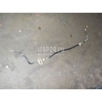 Стабилизатор задний Hyundai-Kia Carens (2006 - 2012) 555101D000