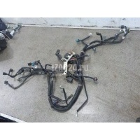 Проводка (коса) Subaru Legacy (B13) (2003 - 2009) 24020AD420