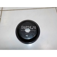 Шкив водяного насоса (помпы) Jaguar Discovery Sport (2014 - ) T2H2494