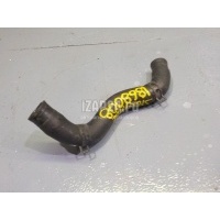 Шланг системы охлаждения Hyundai-Kia Sportage (2004 - 2010) 254512E400