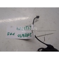 Крышка топливного бака Hyundai-Kia Elantra (2000 - 2006) 310103A901