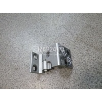 Петля двери задней правой нижняя BMW X5 E53 (2000 - 2007) 41528269846
