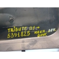 Накладка (кузов внутри) Mazda Tribute (EP) (2000 - 2007) EC0156351A