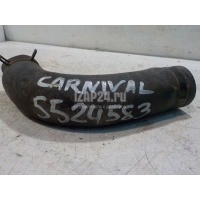 Патрубок радиатора Hyundai-Kia Carnival (1999 - 2005) 0K55215185C