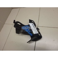 Кронштейн задней балки Renault Megane III (2009 - 2016) 432150659R