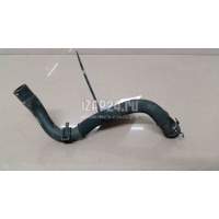Шланг системы охлаждения VAG Octavia (A7) (2013 - ) 5Q0122109L