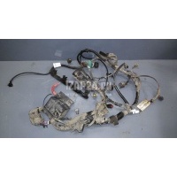 Проводка (коса) Ford Fiesta (2001 - 2008) 1517147