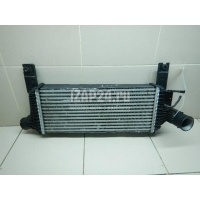 Интеркулер Nissan Navara (D40) (2005 - 2015) 14461EB360