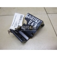Петля двери задней левой нижняя BMW X5 E53 (2000 - 2007) 41528269845