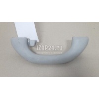 Ручка внутренняя потолочная VAG Passat [B7] (2011 - 2015) 1K0857607NNX1