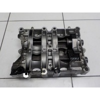 Модуль балансирных валов Land Rover Range Rover Evoque (2011 - 2018) LR010718