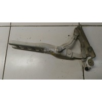 Петля капота правая VAG Octavia (A5 1Z-) (2004 - 2013) 1Z0823302C