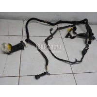Проводка (коса) GM Antara (2007 - 2015) 95491033
