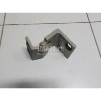 Петля двери задней левой нижняя BMW X5 E53 (2000 - 2007) 41528269845