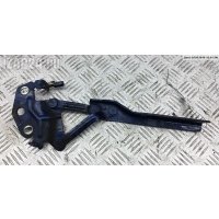 Петля (кронштейн) капота Правая Volkswagen Passat B6 2006 3C0823302E